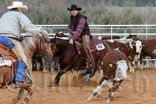 QH062_1389n.jpg