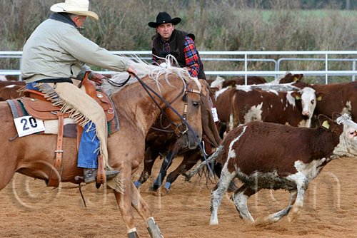 QH062_1390n.jpg