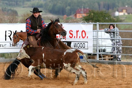 QH062_1391n.jpg