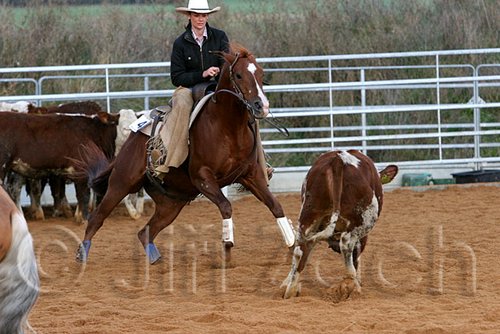 QH062_1400n.jpg