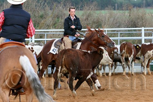 QH062_1403n.jpg