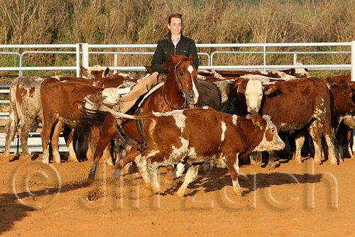 QH062_1425n.jpg