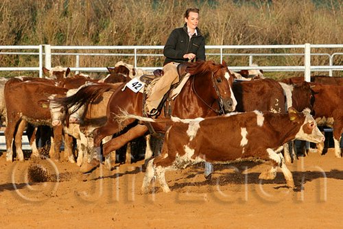 QH062_1426n.jpg