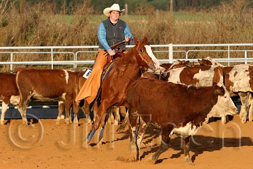 QH062_1433n.jpg