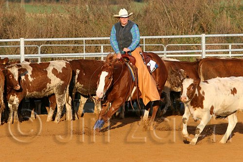 QH062_1439n.jpg