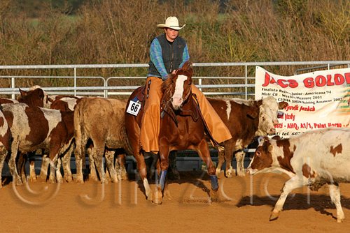 QH062_1441n.jpg
