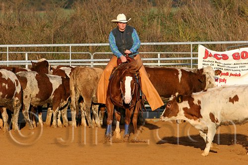 QH062_1442n.jpg