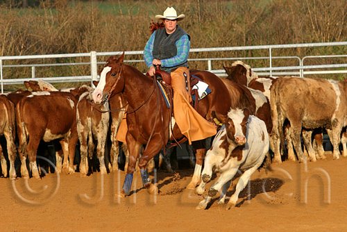 QH062_1453n.jpg
