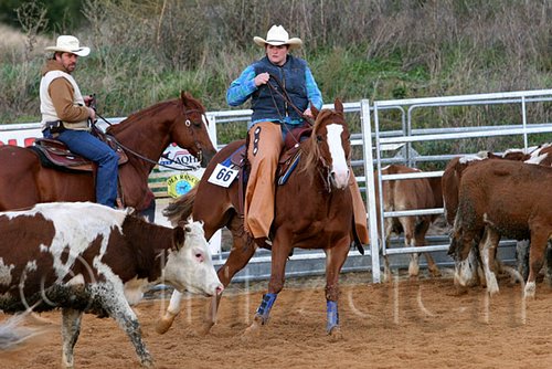 QH062_1462n.jpg