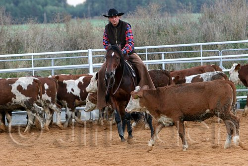 QH062_1467n.jpg