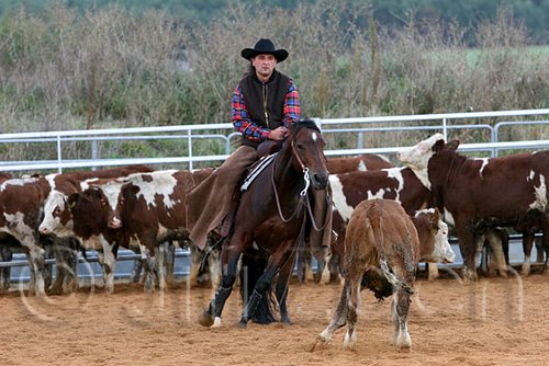 QH062_1469n.jpg