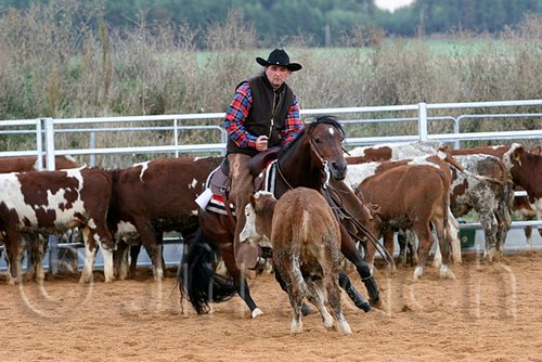 QH062_1470n.jpg