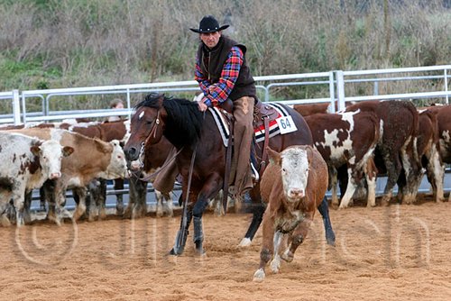 QH062_1473n.jpg