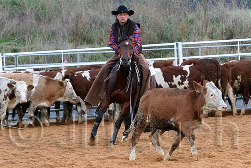 QH062_1474n.jpg
