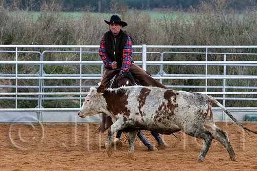 QH062_1484n.jpg