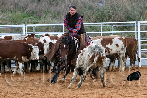 QH062_1486n.jpg