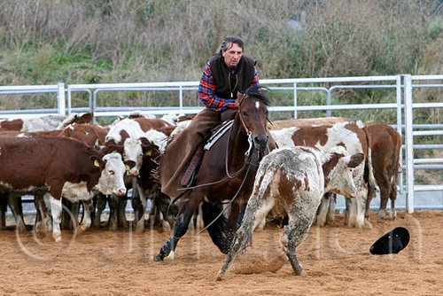QH062_1487n.jpg