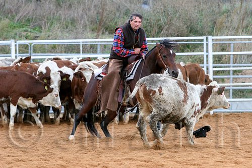 QH062_1488n.jpg