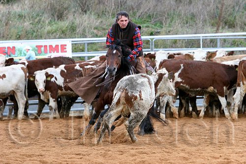 QH062_1492n.jpg
