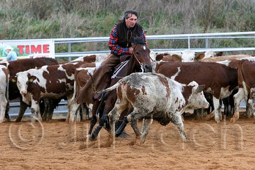 QH062_1493n.jpg