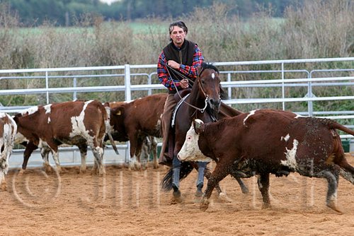 QH062_1497n.jpg