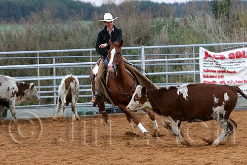 QH062_1503n.jpg