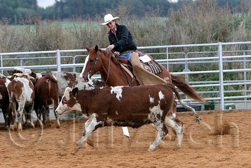 QH062_1504n.jpg