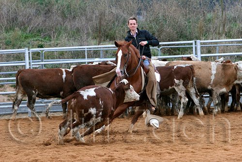 QH062_1505n.jpg