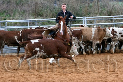 QH062_1506n.jpg