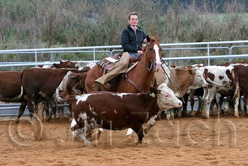 QH062_1507n.jpg
