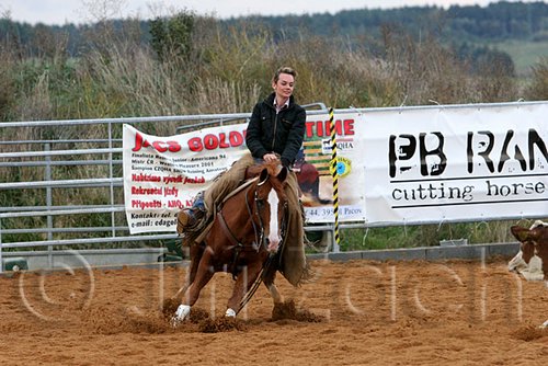 QH062_1509n.jpg