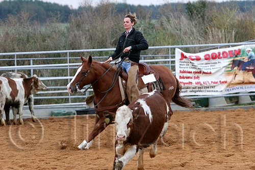 QH062_1513n.jpg