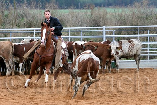 QH062_1515n.jpg