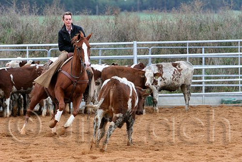QH062_1516n.jpg