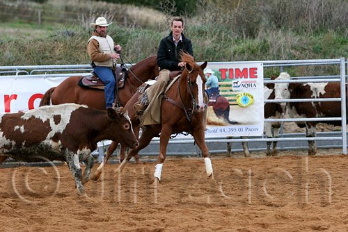 QH062_1520n.jpg