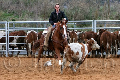 QH062_1526n.jpg