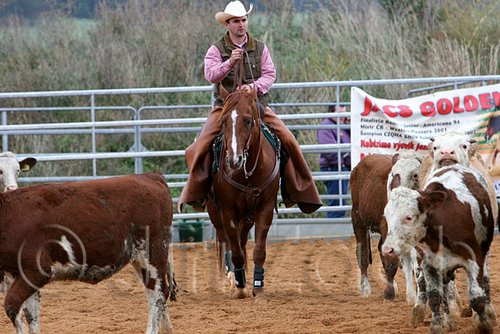 QH062_1540n.jpg