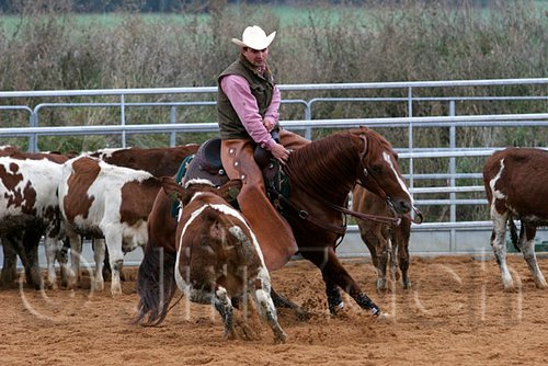 QH062_1543n.jpg
