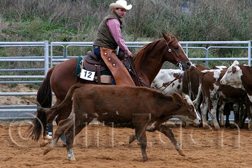 QH062_1545n.jpg