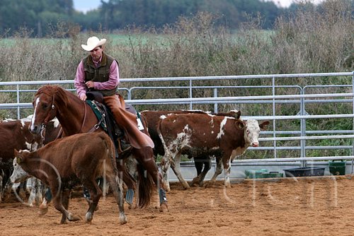 QH062_1547n.jpg
