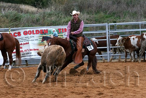 QH062_1550n.jpg