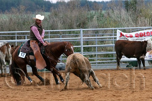QH062_1553n.jpg