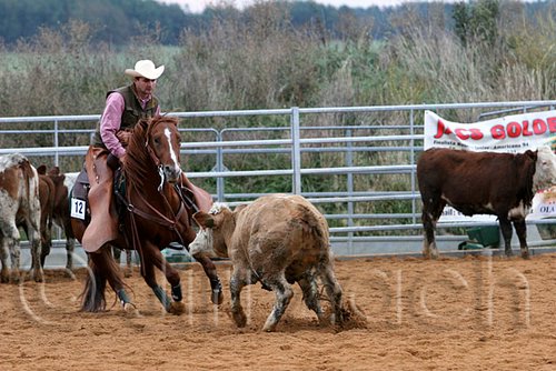 QH062_1554n.jpg