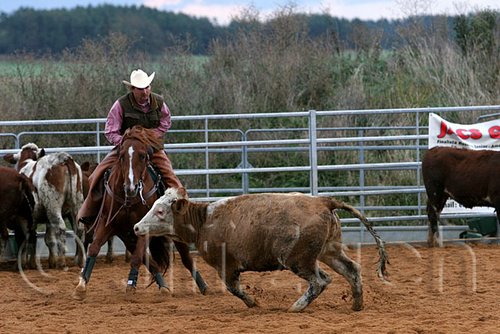 QH062_1555n.jpg