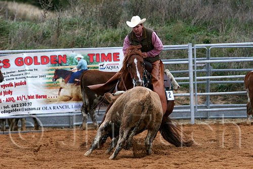 QH062_1556n.jpg