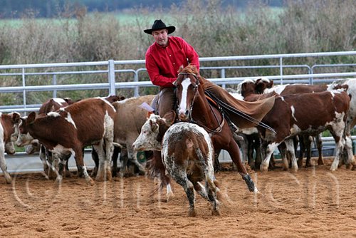 QH062_1566n.jpg