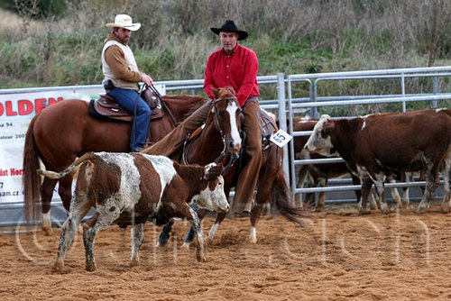 QH062_1567n.jpg
