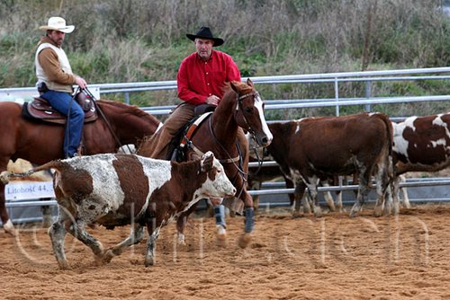 QH062_1568n.jpg