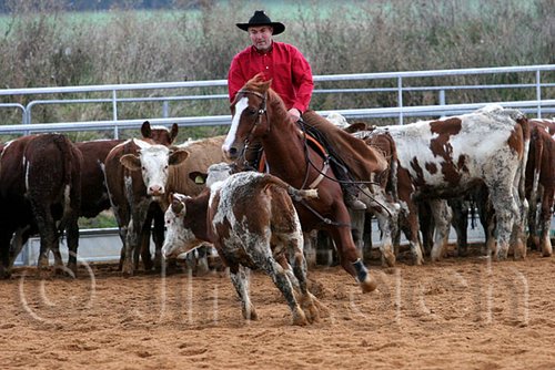 QH062_1570n.jpg