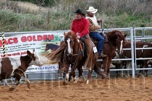 QH062_1571n.jpg
